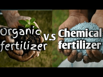 Fertilizer for plant 4