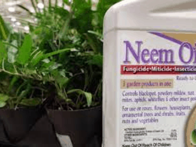 Neem oil for garden control 3