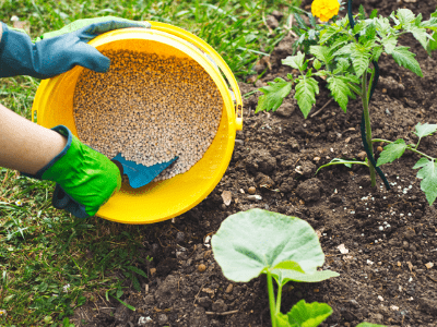 Fertilizer for plant