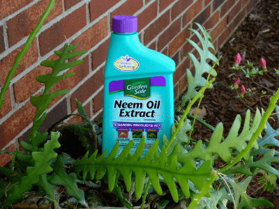 Neem oil for garden control 2