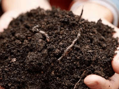 Best potting soil 9