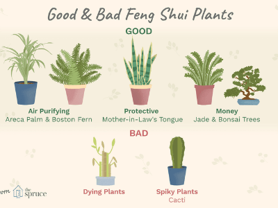 Feng shui 8