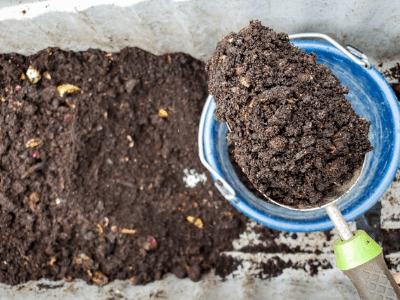 Best earthworm castings