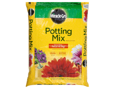 best potting soil for indoor plants