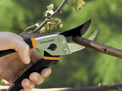 Best pruning shears