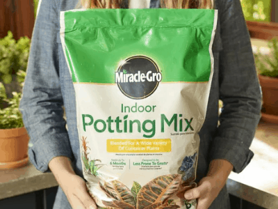 best potting soil for indoor plants