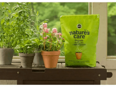 best potting soil for indoor plants