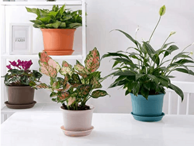 Plastic planters