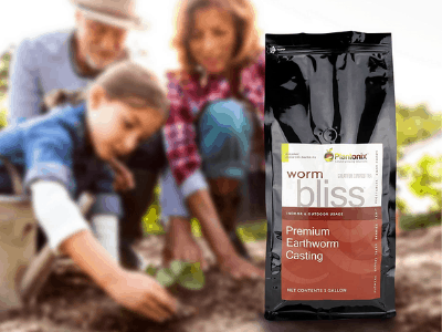 Best earthworm castings