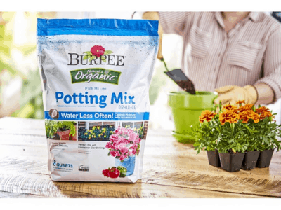 best potting soil for indoor plants