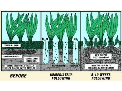 Best earthworm castings