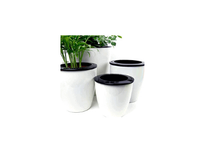 Self-watering planters 5