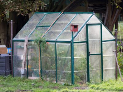 Greenhouse Kits Amazon 6