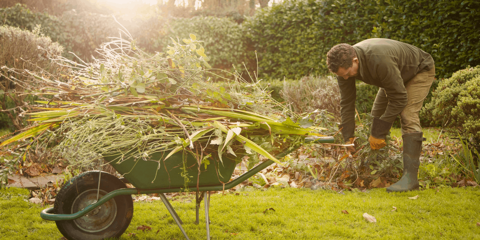 Best Wheelbarrow