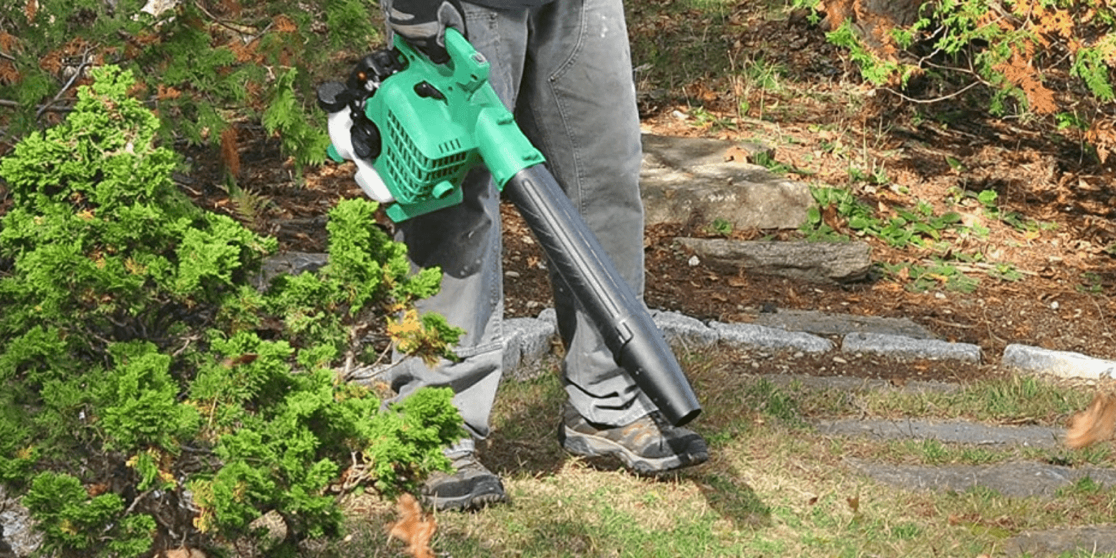 Gas Leaf Blowers on Amazon