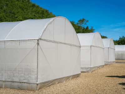 how to use grow tents