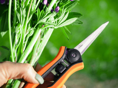 Electric pruning shears 1