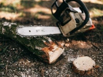 Best rated gas chainsaws