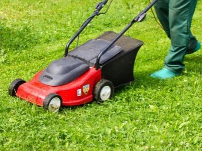 greenworks 40v push lawn mower
