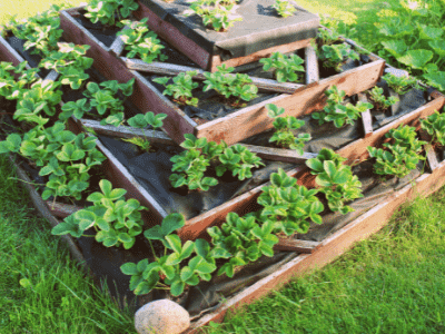 Raised garden bed plans 3