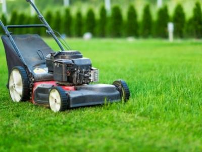 gas lawn mower buying guide 1