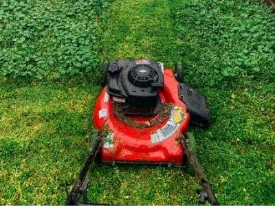 Snapper 82 volt mower review