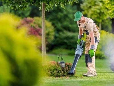 best budget cordless leaf blower