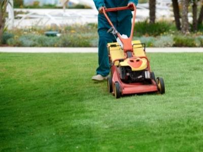  Gas Lawn Mower Buying Guide 