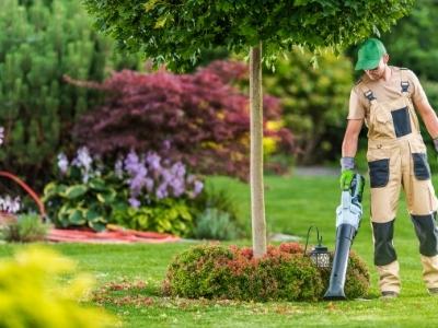 best budget cordless leaf blower