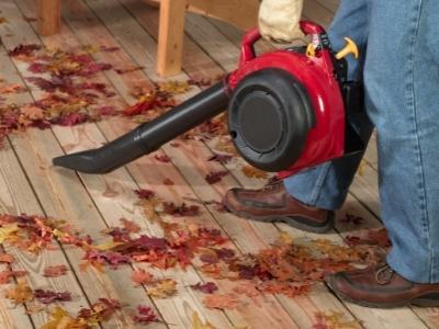 best budget cordless leaf blower 1