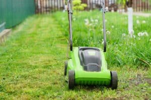 Tiny lawn mower