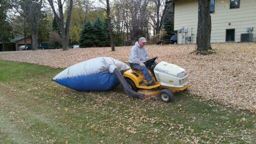 leaf bagger 1