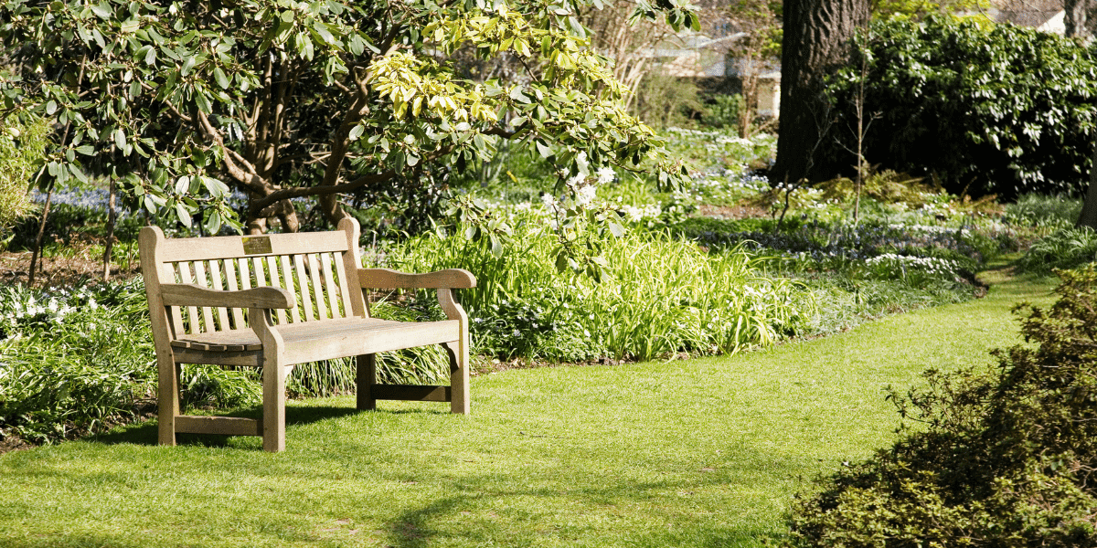 Garden bench 1