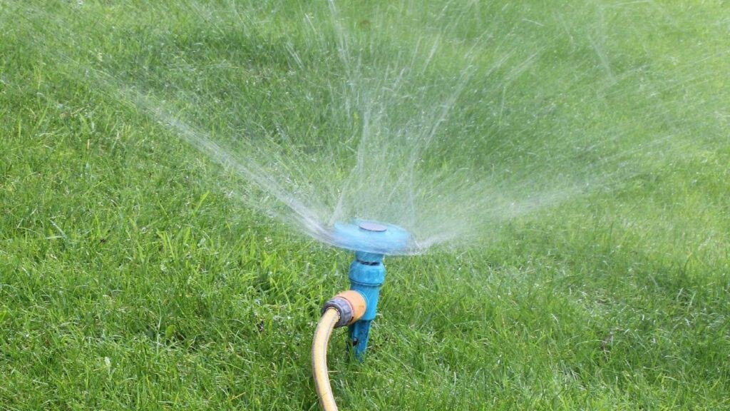 How to spread grass seed