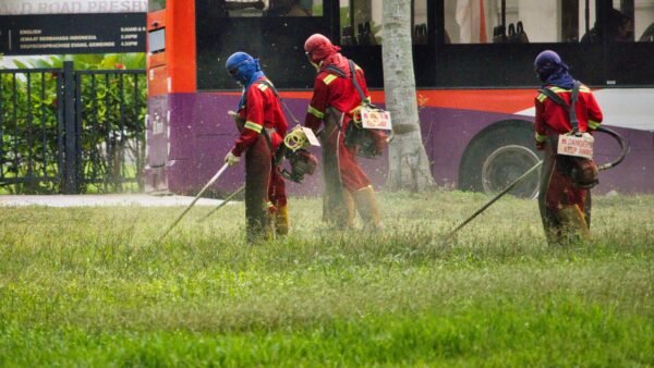 Grass cutting
cutting blade