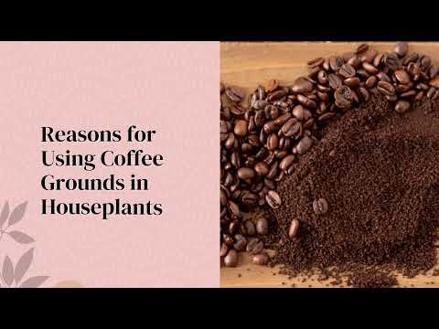 Coffee grounds 1