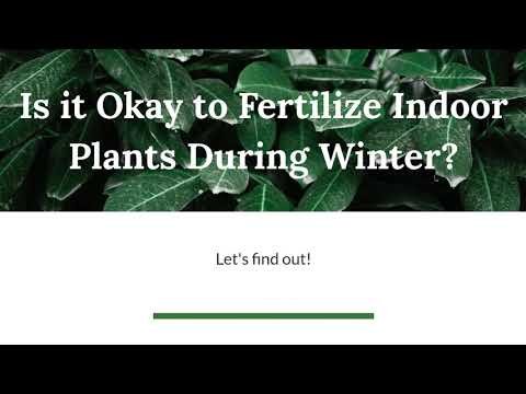 Fertilize 1