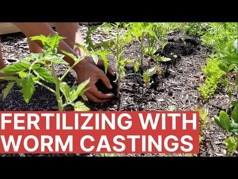 Slow release organic fertilizer 1