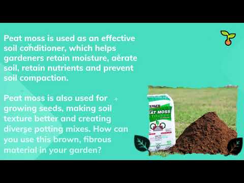 peat moss as soil amendment 1