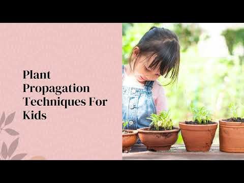 Propagation 1