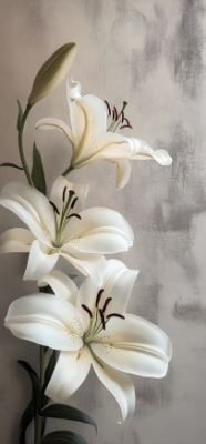 7 Stunning Facts About White Lilies That Will Redefine Their Beauty for You 9 9