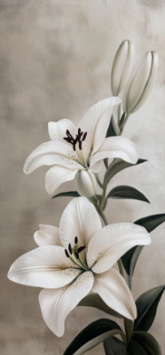 7 Stunning Facts About White Lilies That Will Redefine Their Beauty for You 13 13