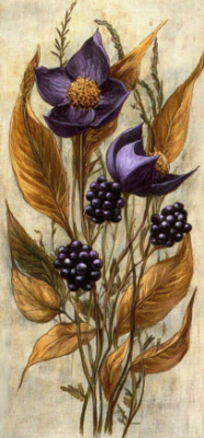 10 Hidden Secrets of the Belladonna Flower You Need to Know 6 Belladonna 5