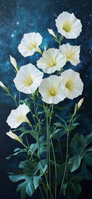 Moon Flowers 101: Aesthetic, Garden Tips, and Surprising Symbolism 10 moon flower 9