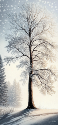 winter tree 4