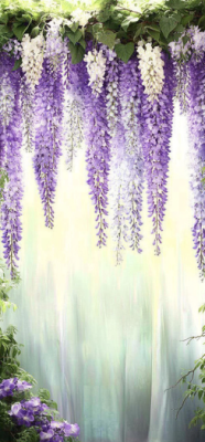 wisteria 10