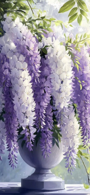 wisteria 6