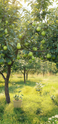 7 Fascinating Facts About Fruit Trees That Will Transform Your Backyard 8 8