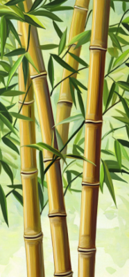 bamboo 9