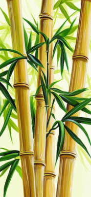 bamboo 7